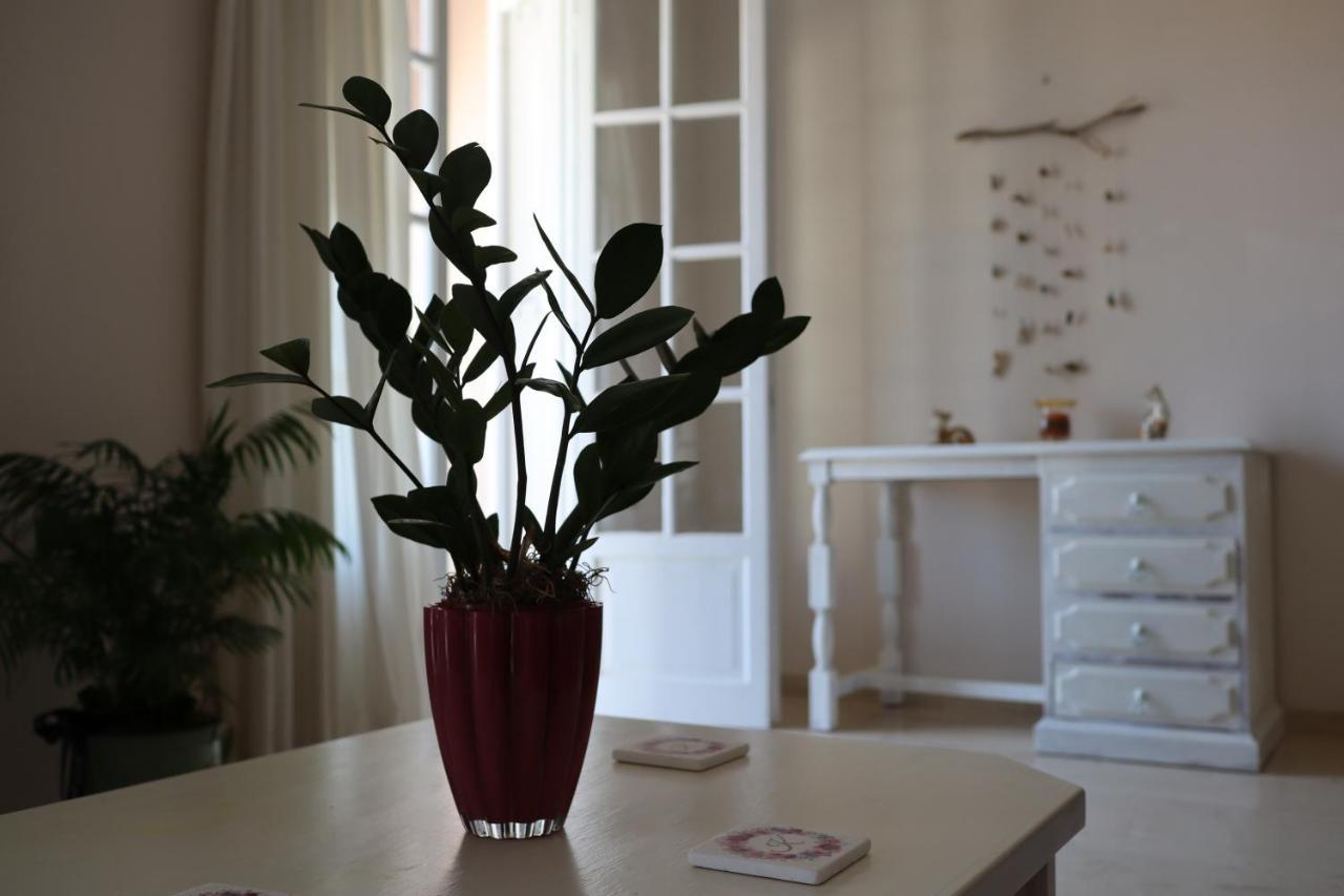 Helena Apartment Argostoli Dış mekan fotoğraf